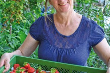 Beate Mayer mit einer Kiste voll erntefrischer Erdbeeren